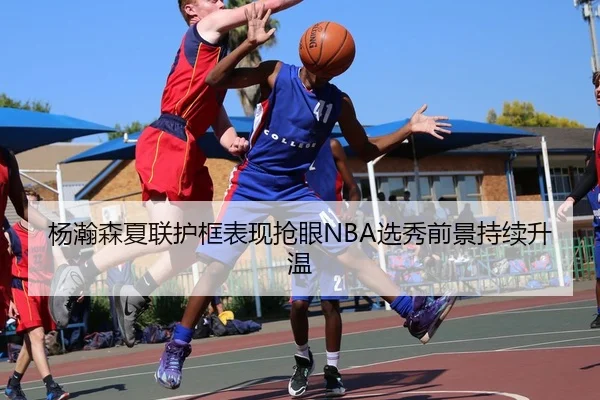 杨瀚森夏联护框表现抢眼NBA选秀前景持续升温